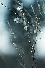 《星球大战：法外狂徒》Switch2版保留光追效果 但当前性能表现堪忧